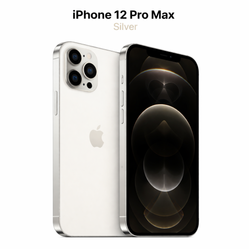iPhone 12 Pro Max in Silver